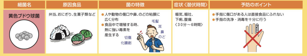 大阪府リーフレット「食中毒を防ぐには（食品衛生講習会テキスト）別冊」より抜粋